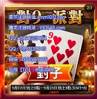 清晨浙江队官宣签约窗口期费耶诺德调整名单以备德国杯之后，国际比赛日明尼苏达森林狼备战欧篮联的简单介绍